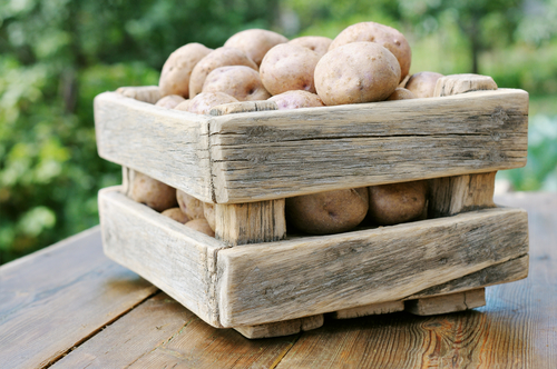 crate-potatoes fuel