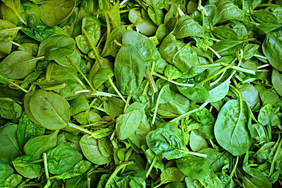 spinach oxalates