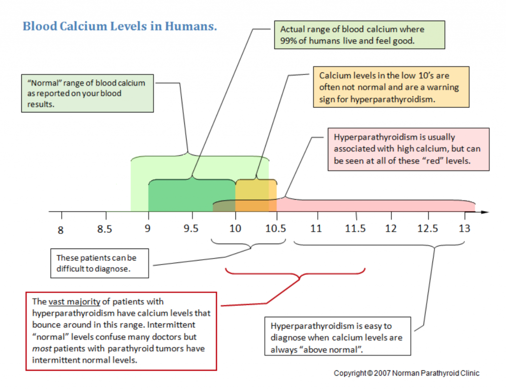 doctors and medical specialists for hyperparathyroidism 2