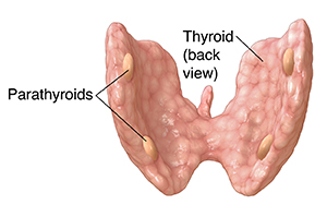 secondary hyperparathyroidism symptoms hyperparathyroidism
