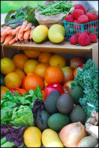 Synthetic vs Natural Pesticides pesticides