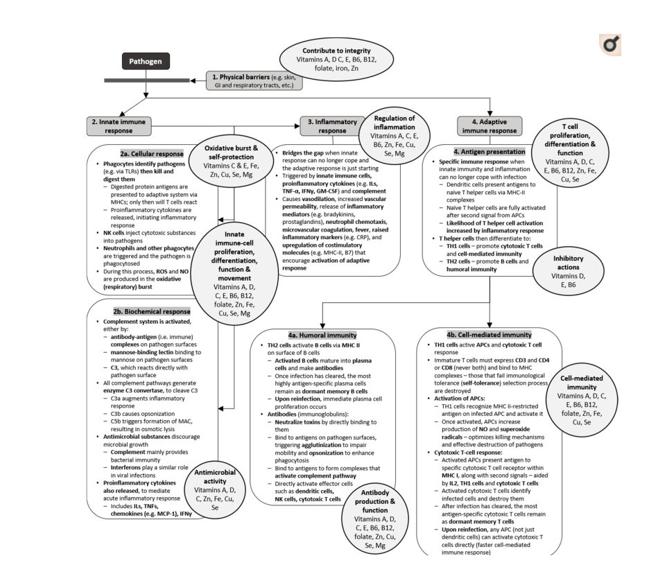 immune-health-supplements