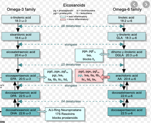 Flax-oil-benefits