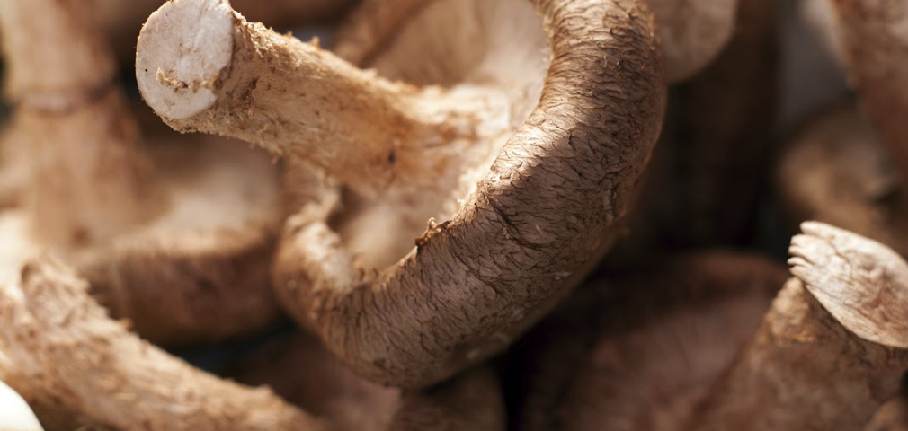 Food-Crispy-Garlic-and-Mushroom-Green-Beans-1010x480