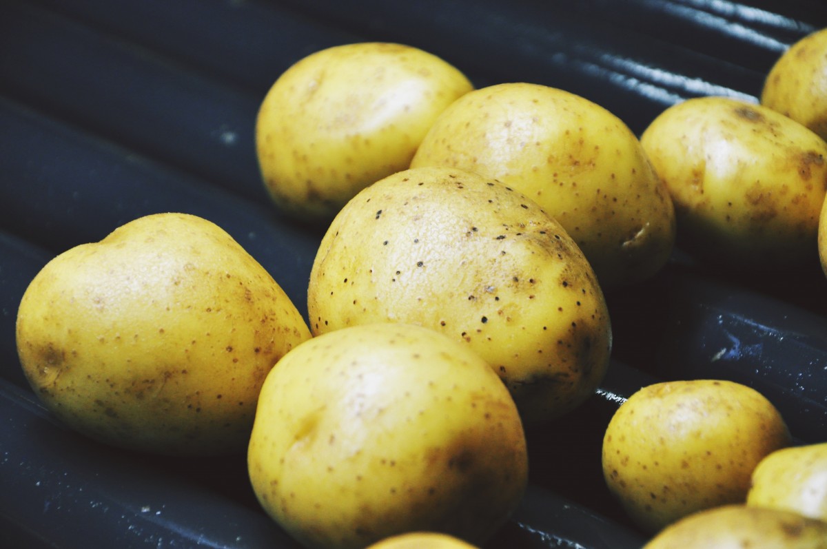 Resistant-Starch-and-Diabetes