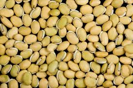 beans-resistant-starch