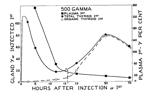 gamma-1