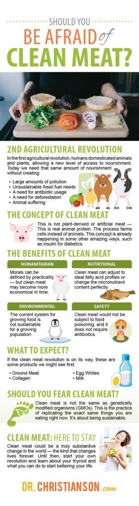 infographic_CleanMeat-281x1024
