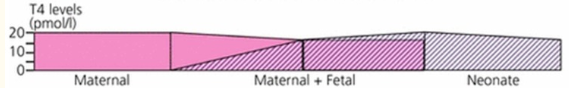 iodine-urine-test-1