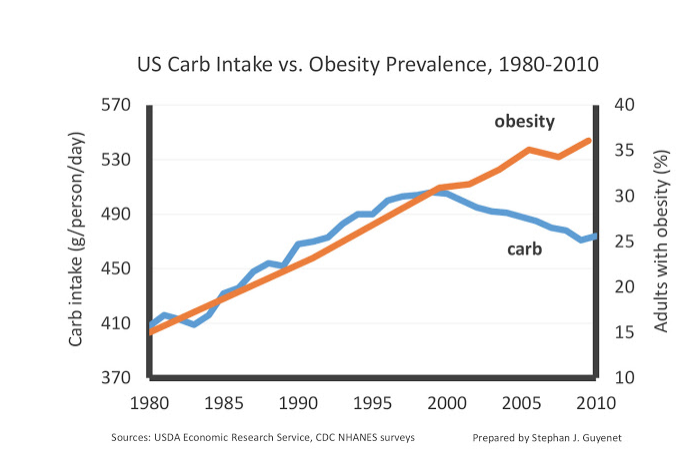 liver-function-and-weight-loss