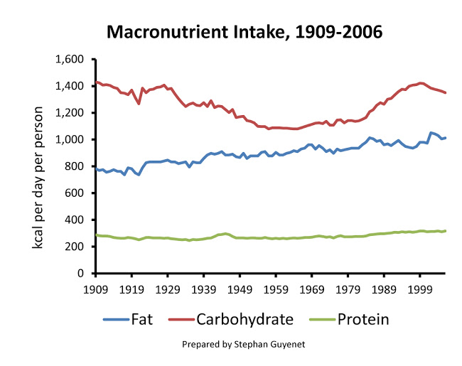 what-are-macronutrients