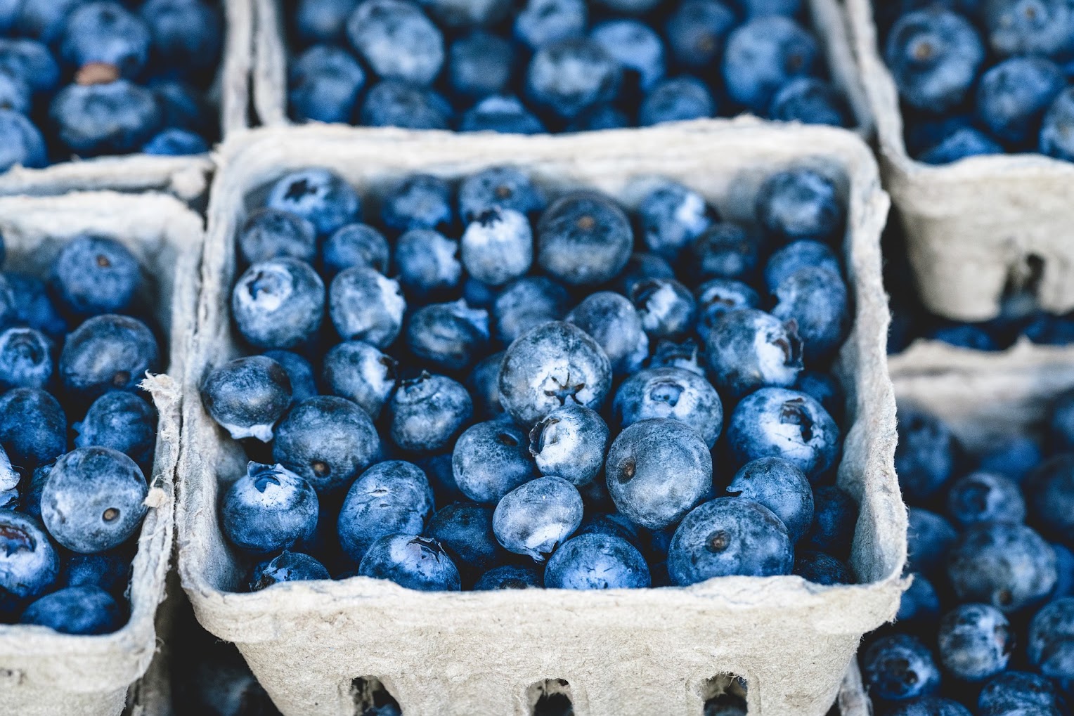 blueberry-salsa Protein Ice Cream
